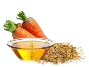 CARROT OIL