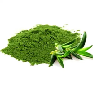Aloe Vera (Green)