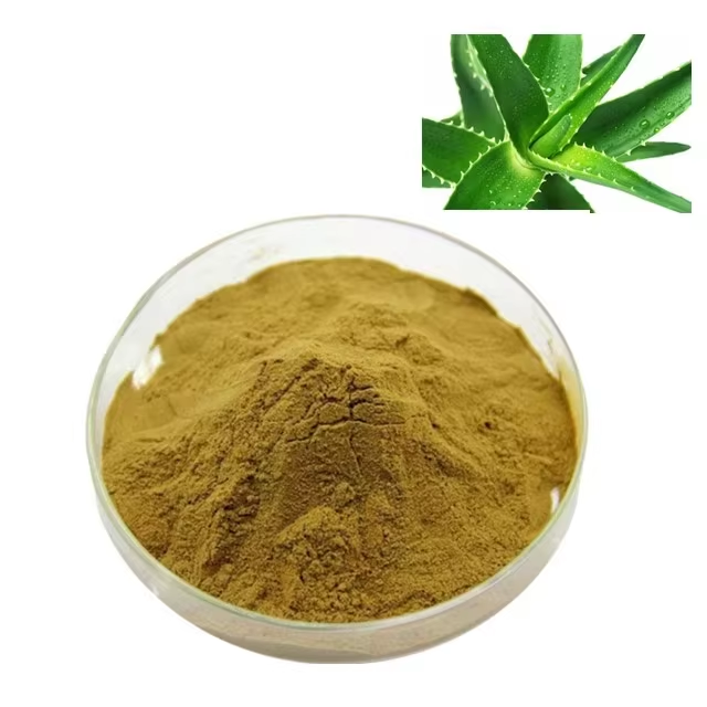 Aloe Vera (brown)