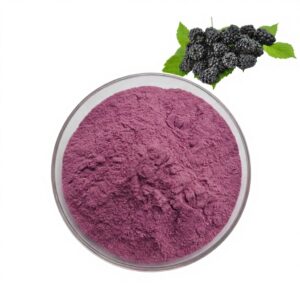 Mulberry extract (pink)