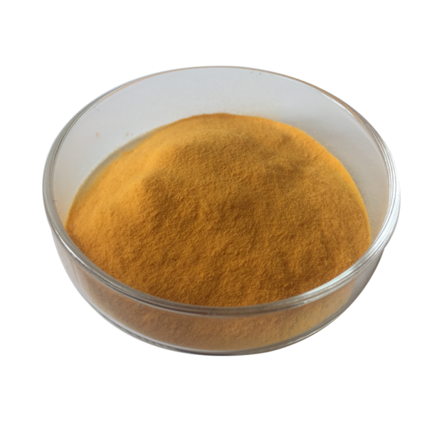 Coenzyme Q