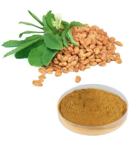 Fenugreek