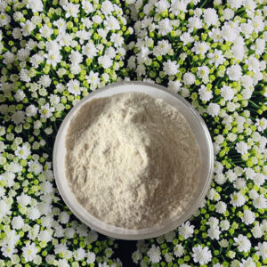 Mulberry white