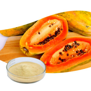 Papaya extract 1st grade